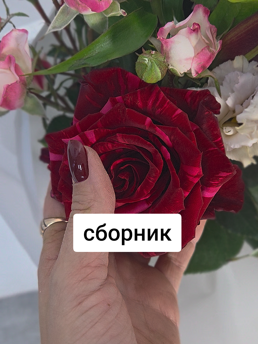 @Снежана