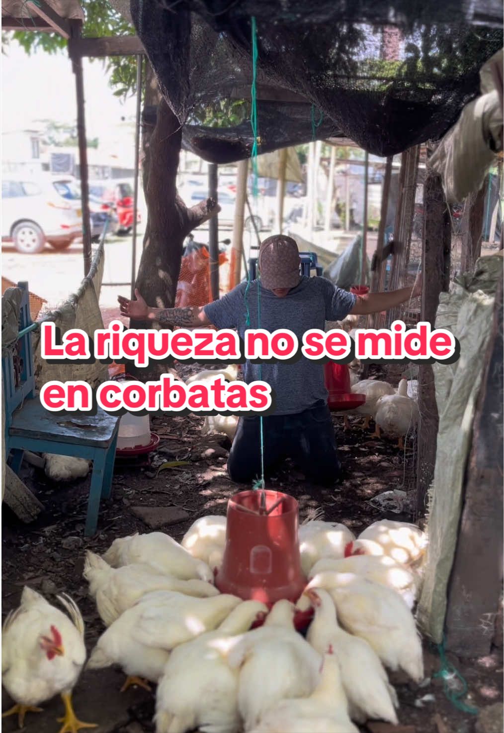 @elmagnatedelospollos