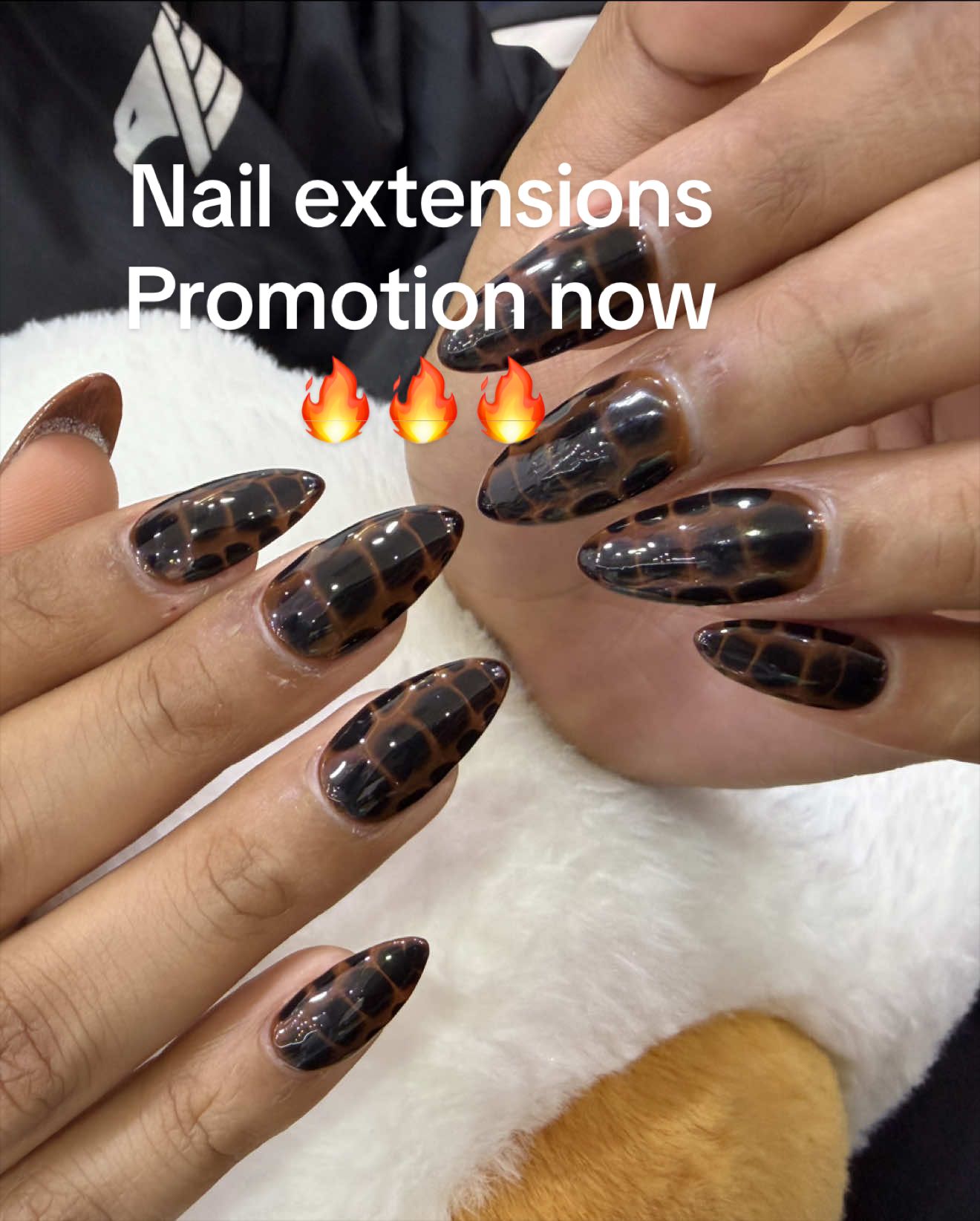 @ainailspa
