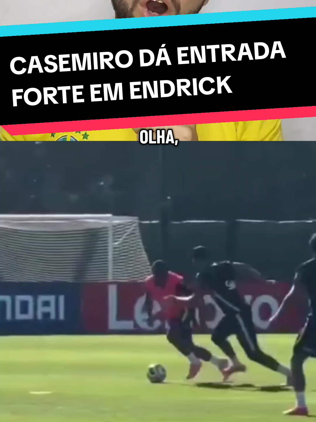 @analistaleigo