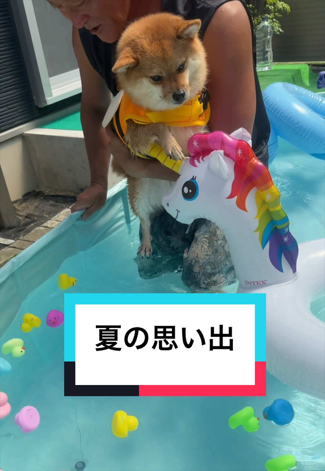 @9/28🎂おじ生誕祭🐶とん&ぺっぺこぺー🦊