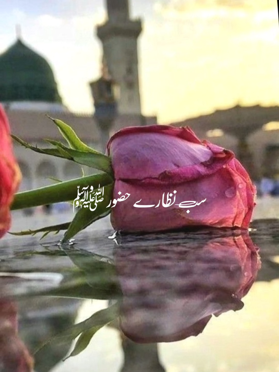 @Dilan🖤