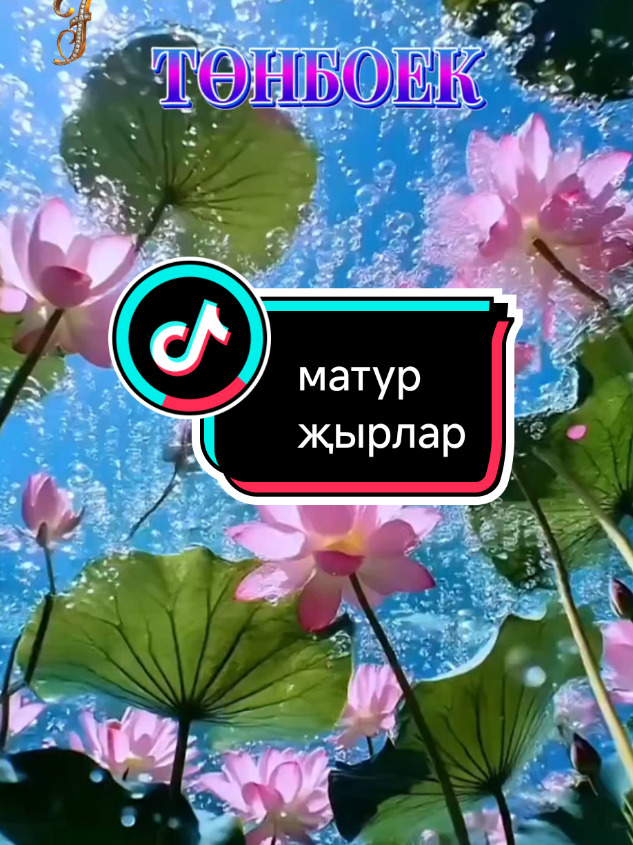 @💕☪татвидео открытки☪︎ 💕