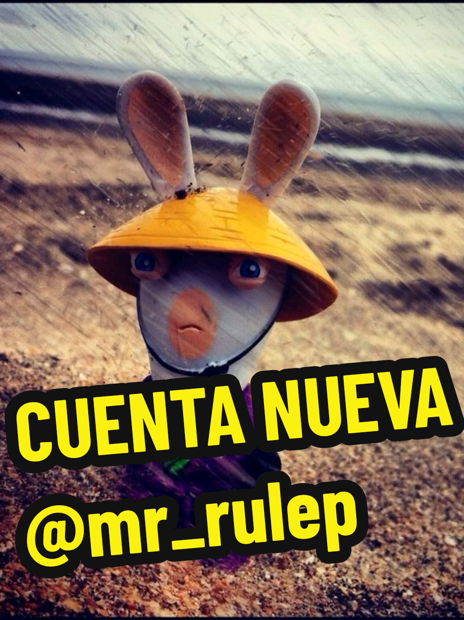 @Mr._rule