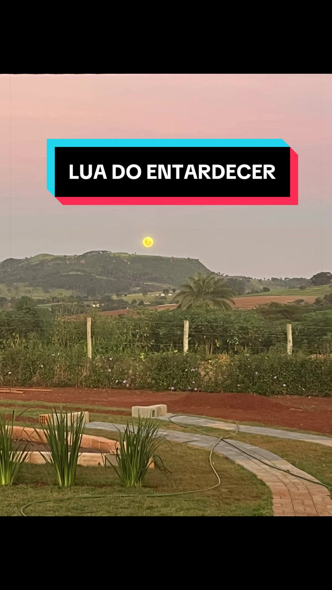 @Chácara N’Roça