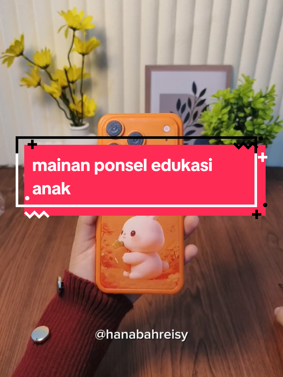 @hanabahreisy
