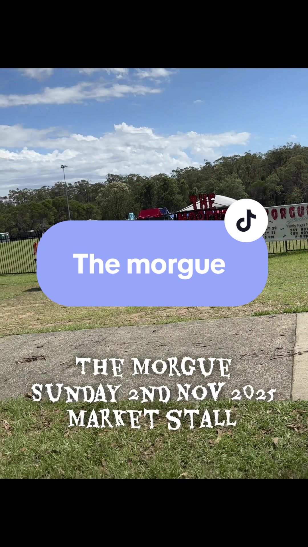 @amethystrayneclectic 🇦🇺