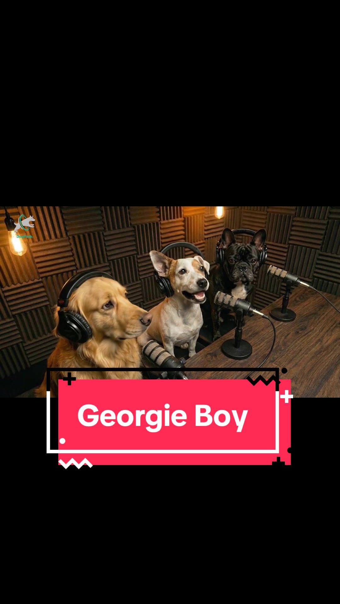 @DogPack