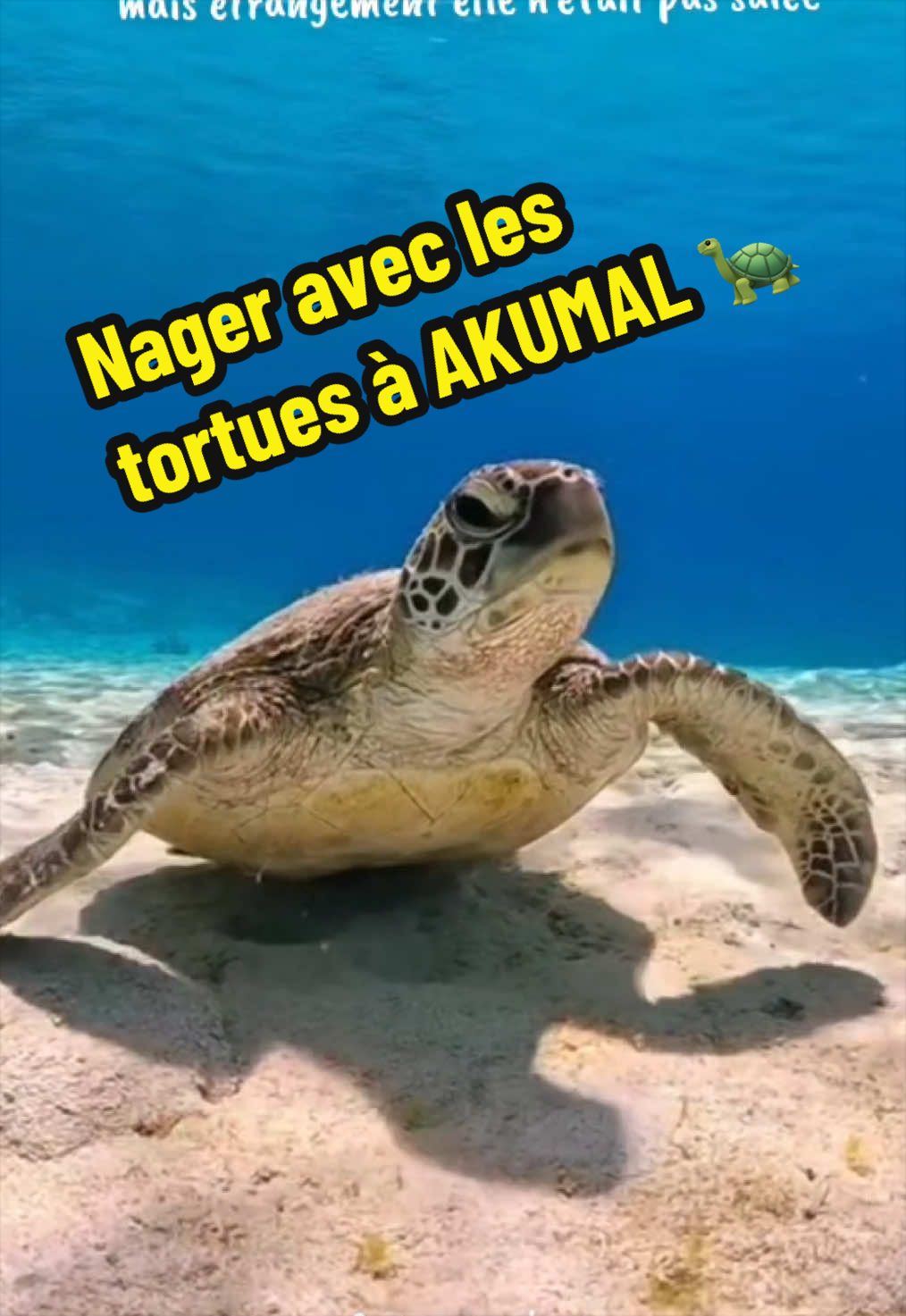 @xamanexperience