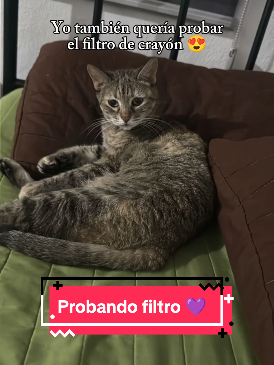 @coslune