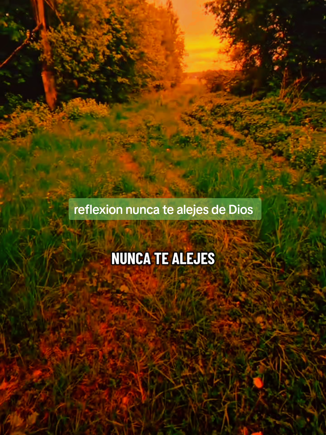 @@Teo Rodriguez