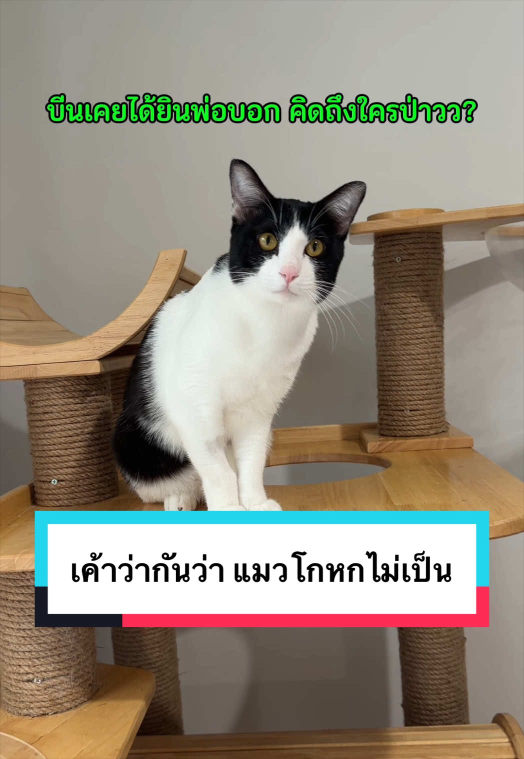 @คิมบับครับผม