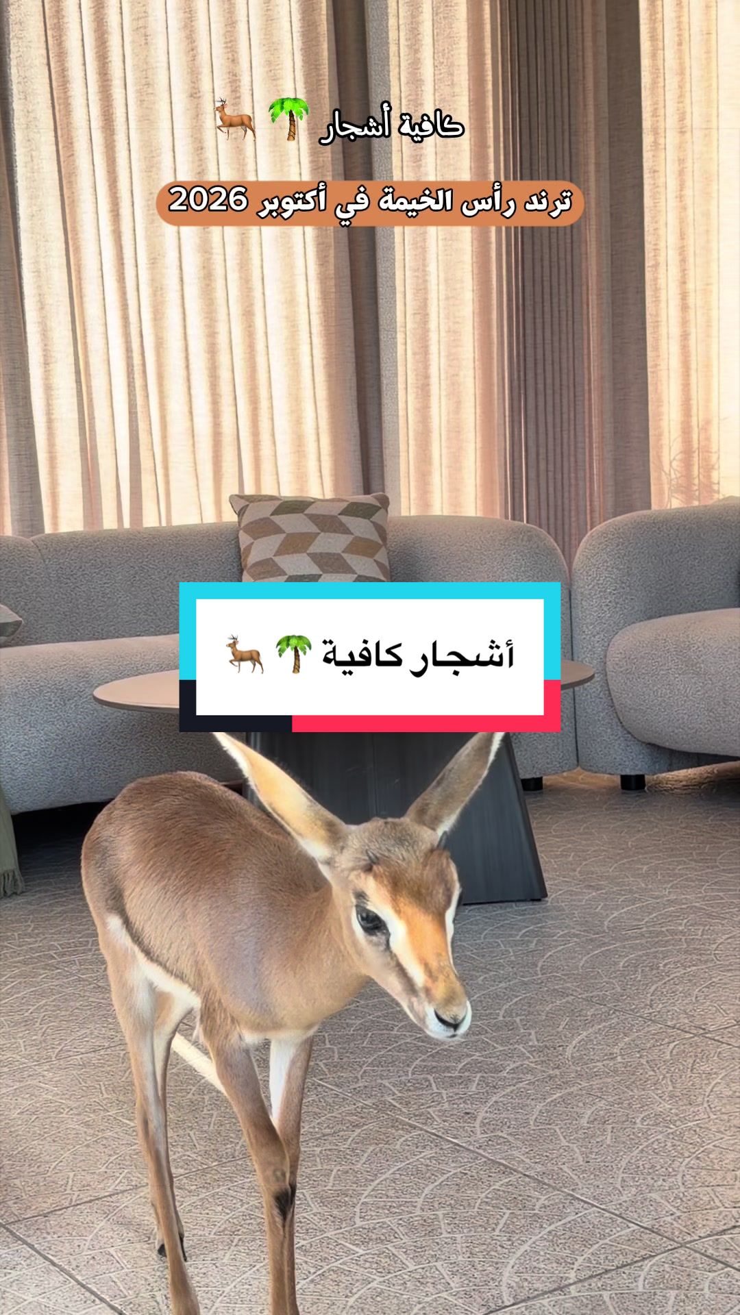 @محمد الشحي ✈️🇦🇪