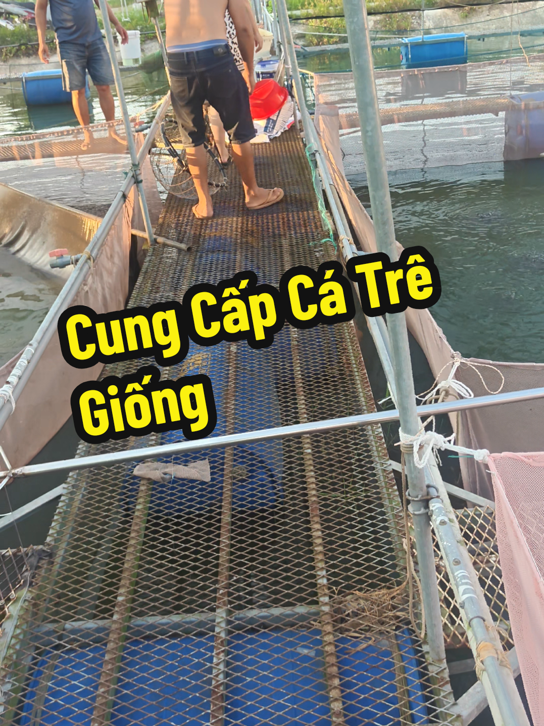 @Con Ghẻ Của TikTok 3