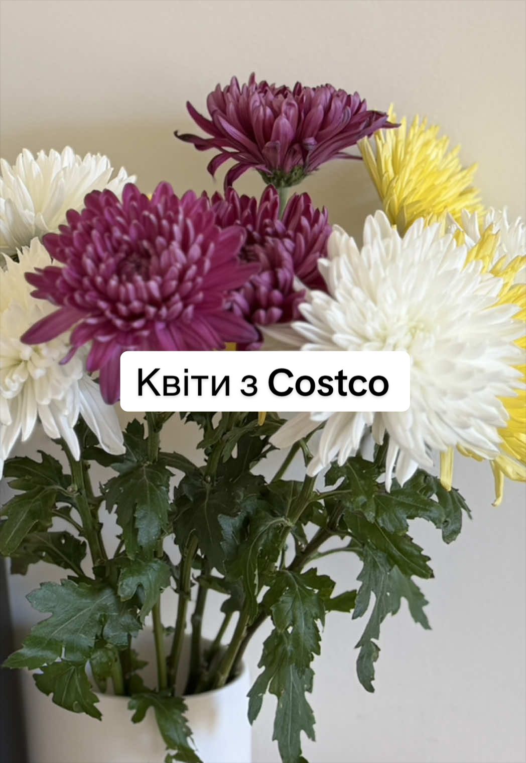 @Саша в квадраті 🧑&zwj;🧒 UGC