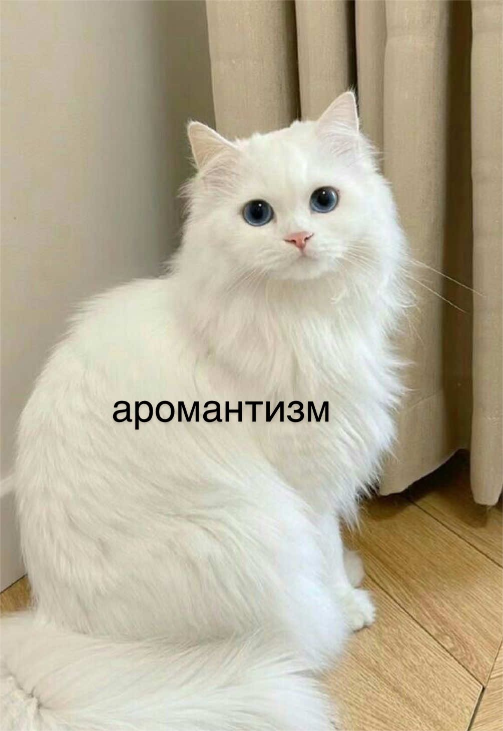 @мамин хep
