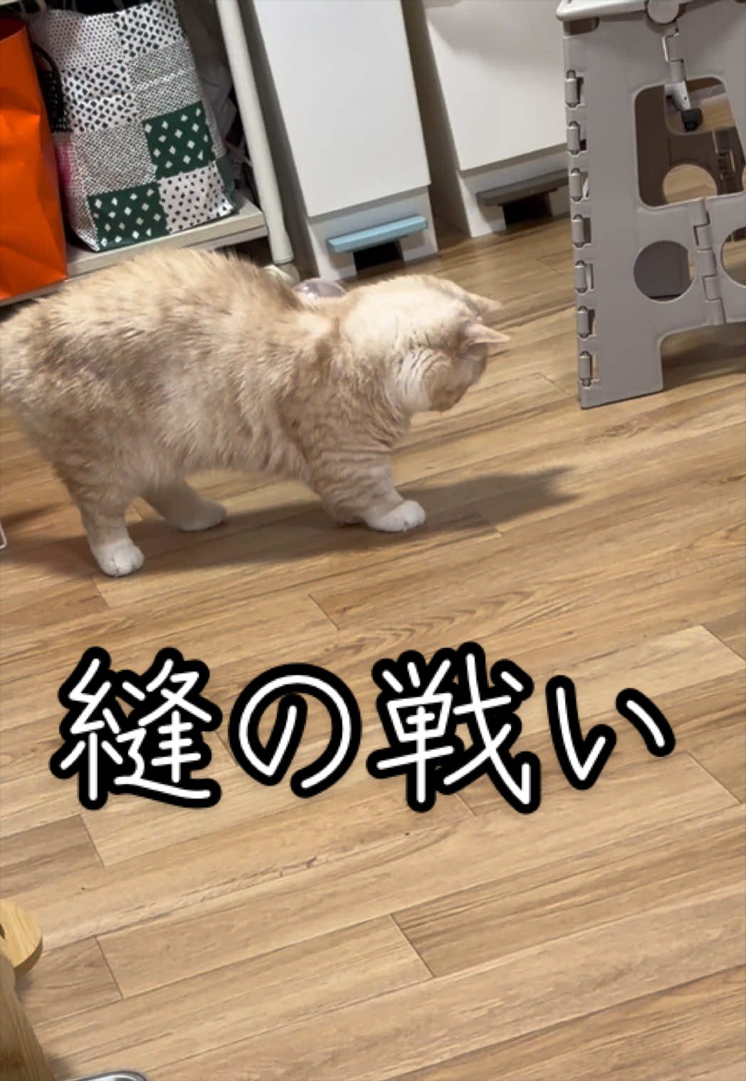 @縫くんと私