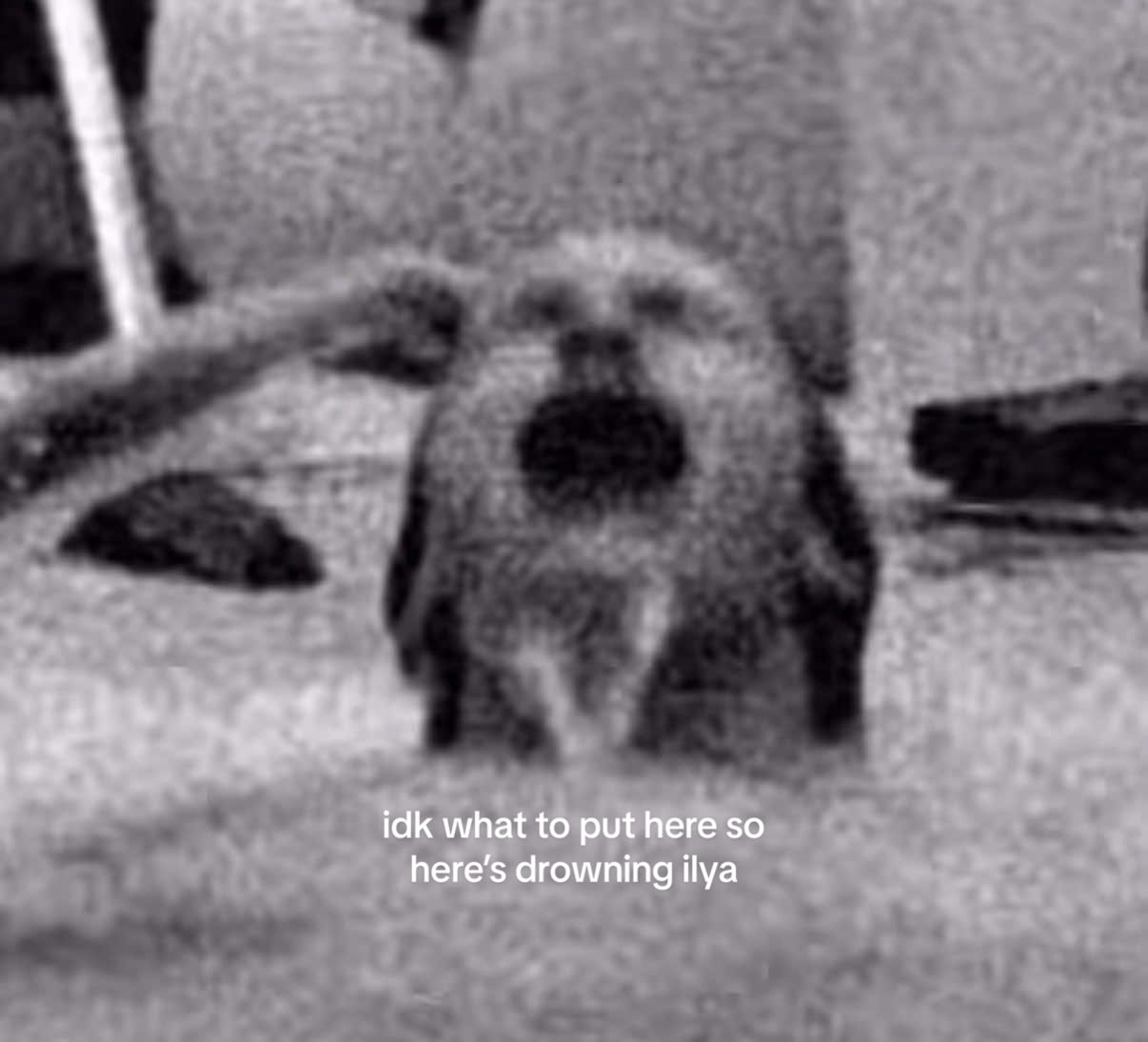 @audrey