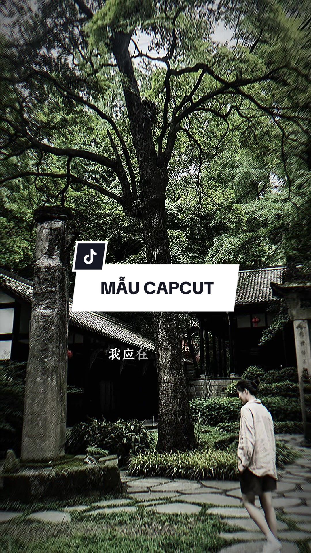 @TH&Agrave;NH TRƯỜNG ☄️