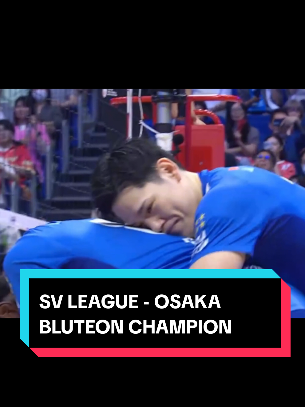 @라니아-Volleyball