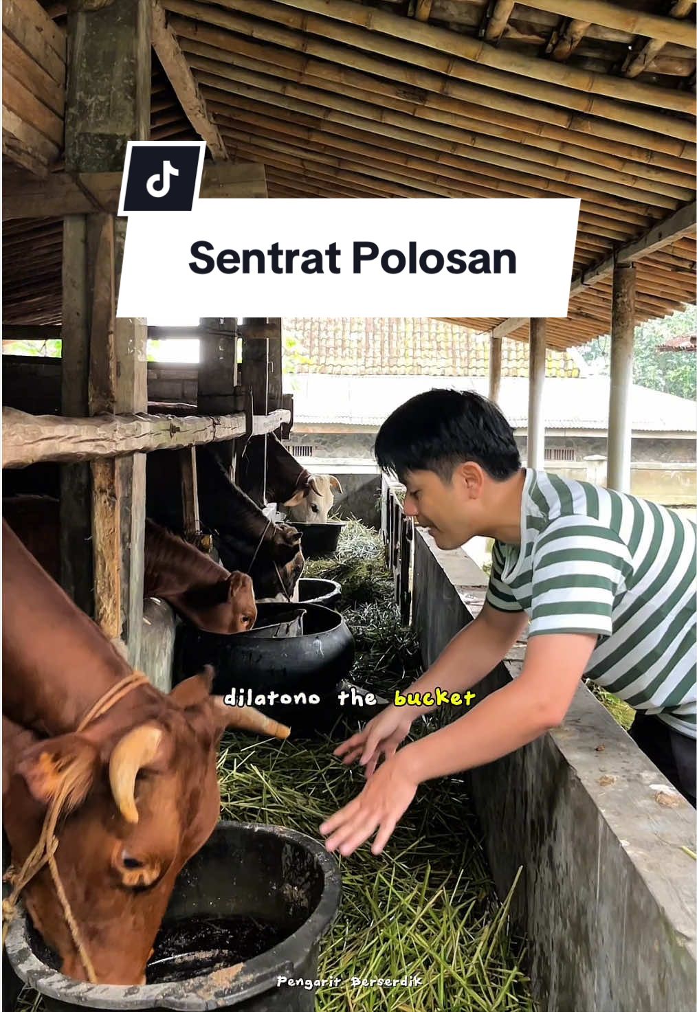 @Pengarit Berserdik