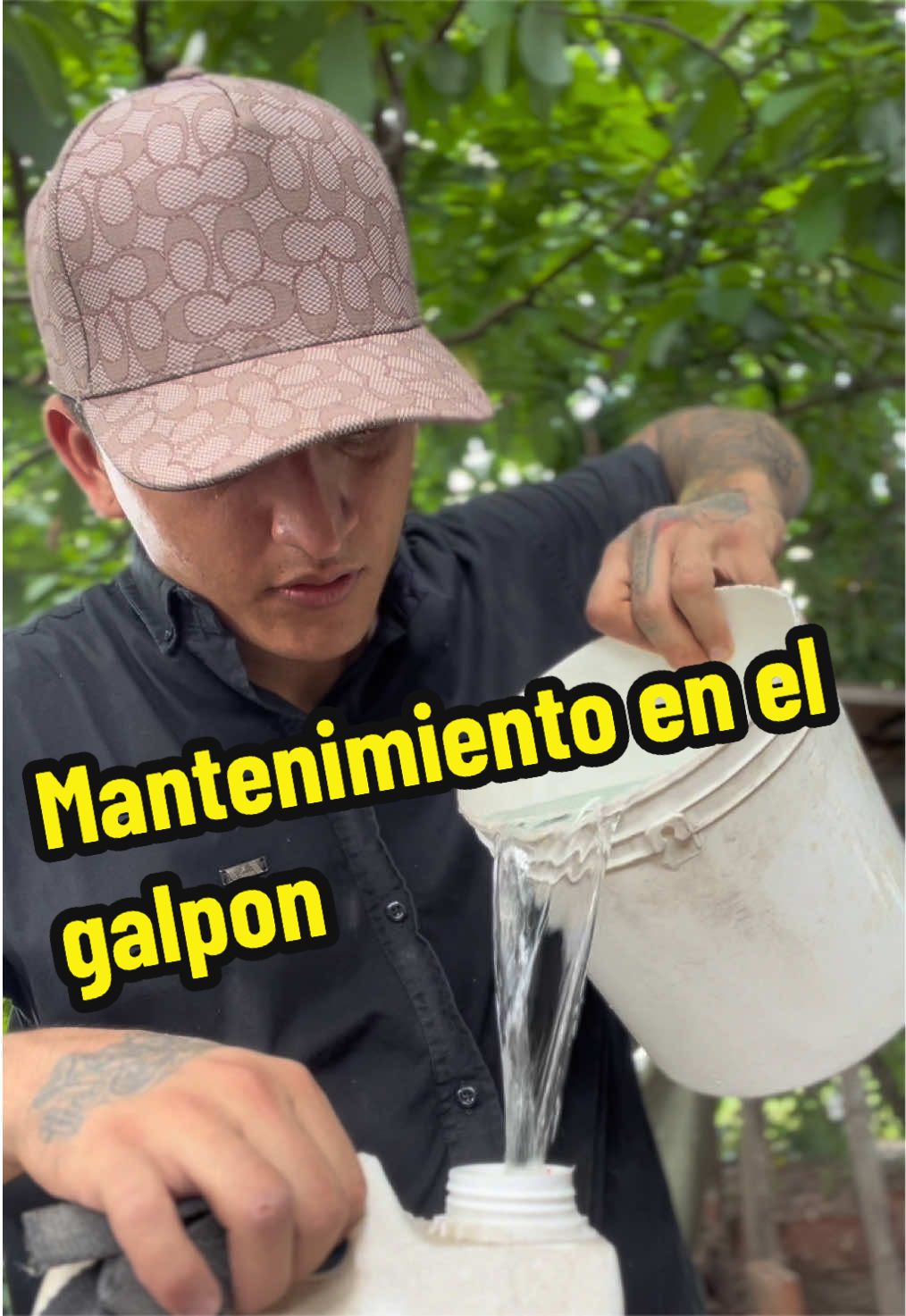 @elmagnatedelospollos