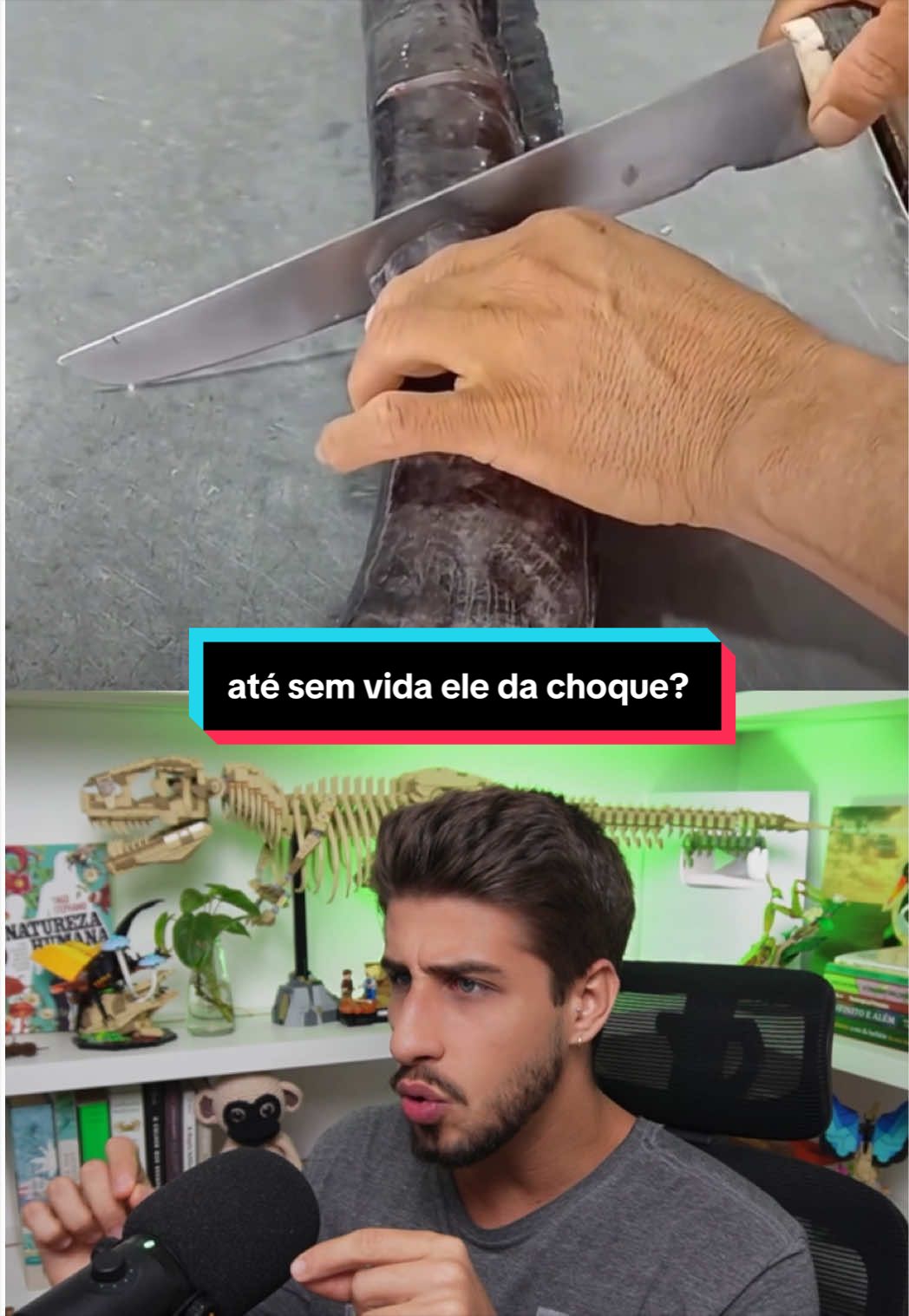 @Yago Stephano