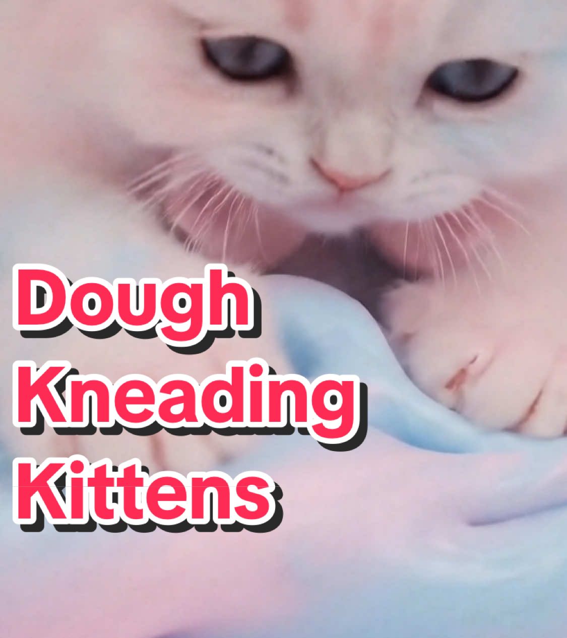 @Smiley ASMR