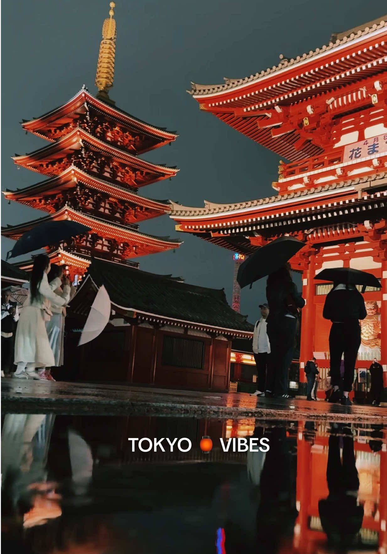 @Kavin Madhushanka 🇯🇵