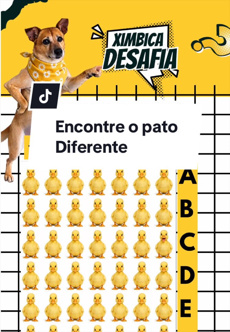 @Ximbica DESAFIA