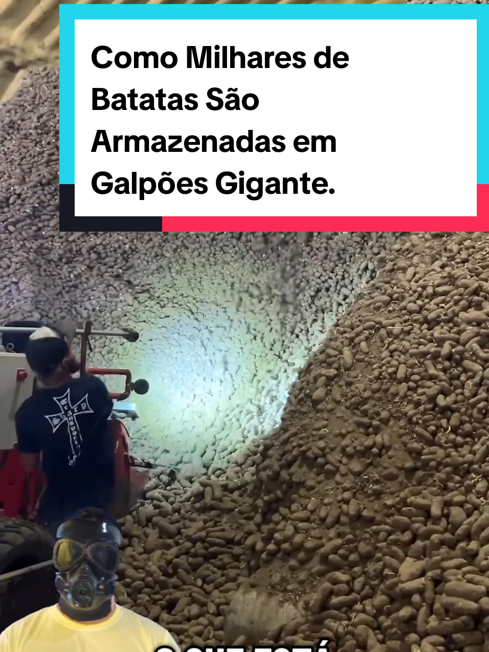 @Mundo da Curiosidades