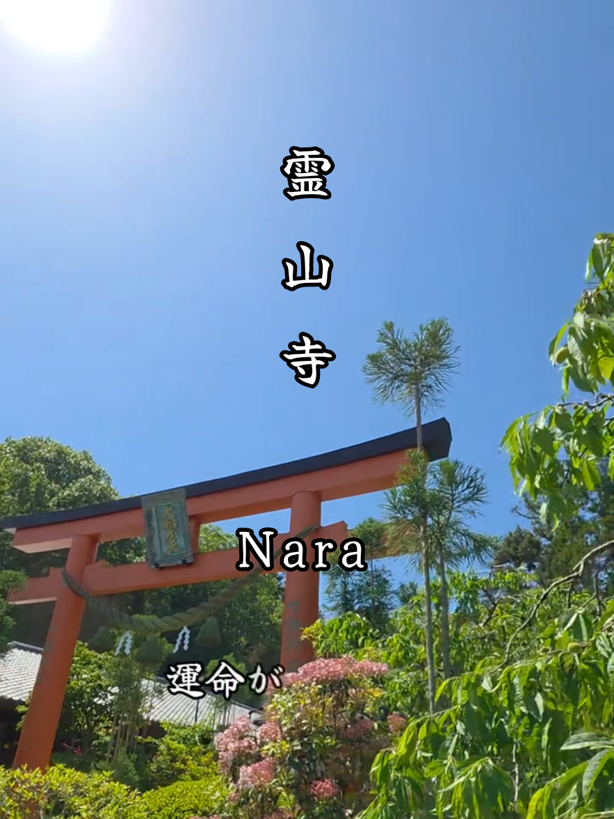 @星来⭐️セイ