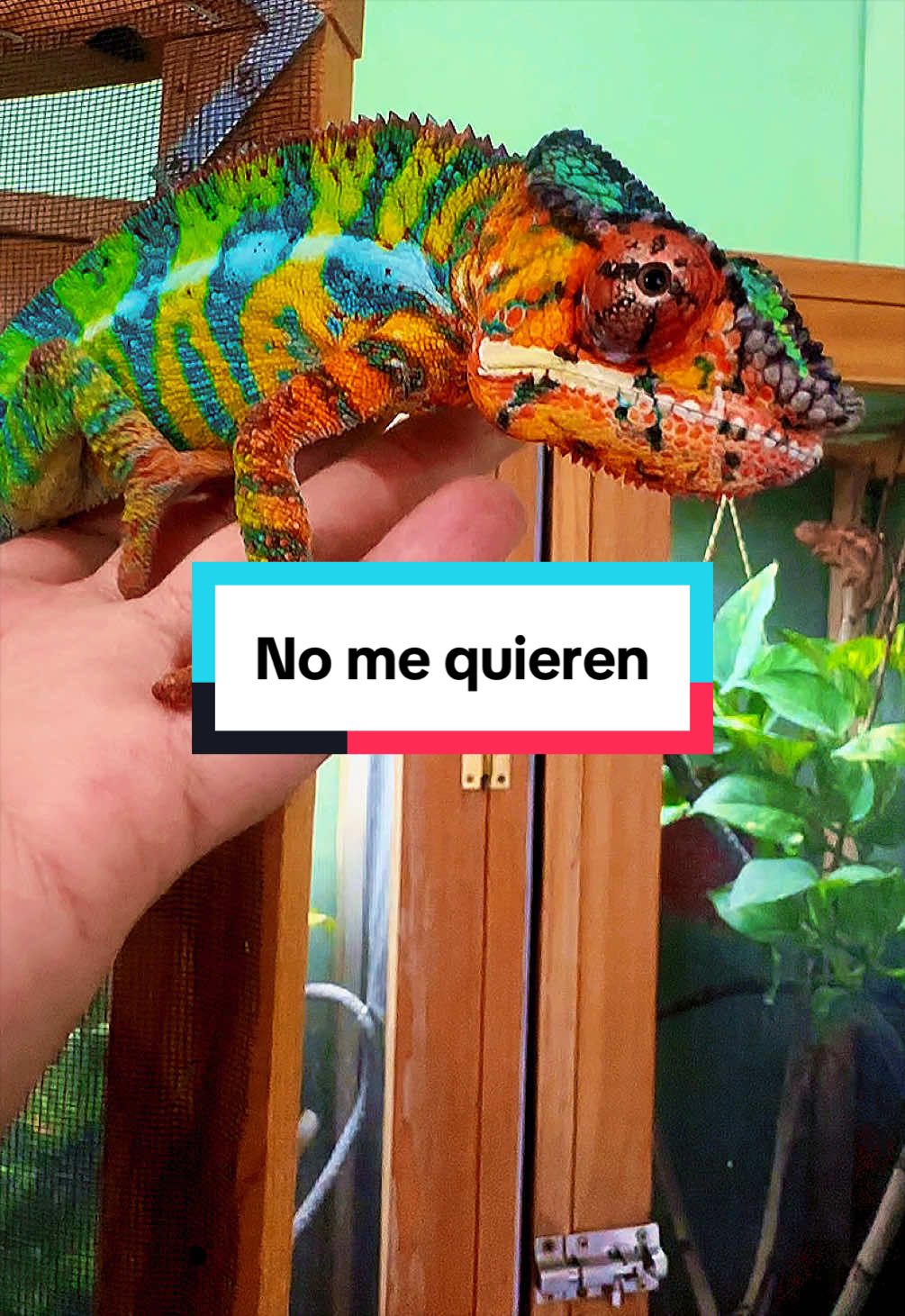 @ReptilMania