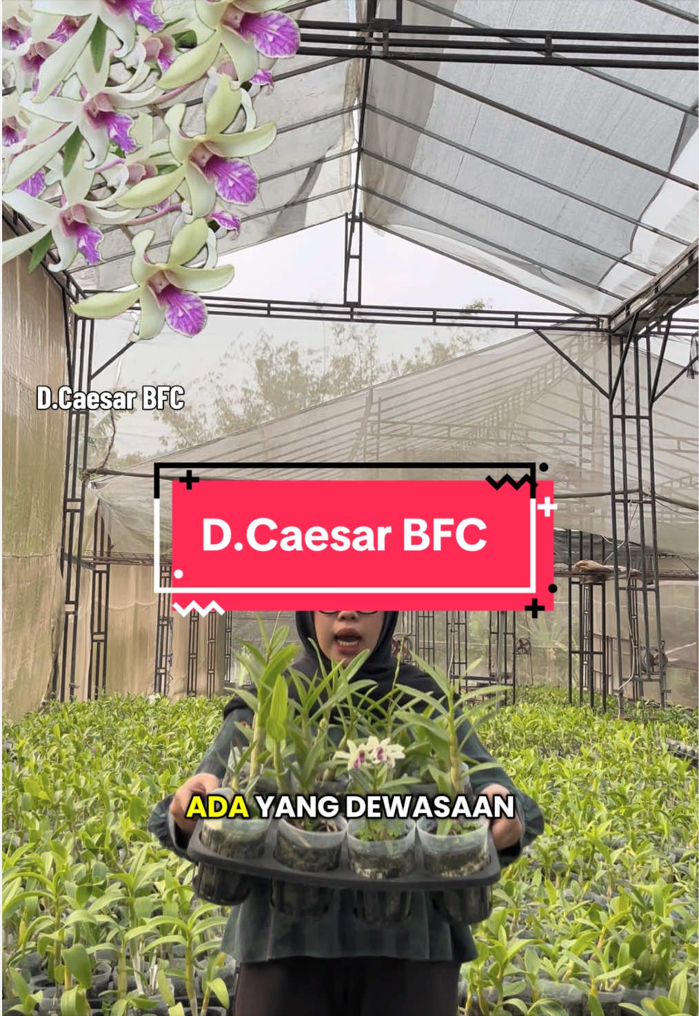 @Griya sekarindo utama