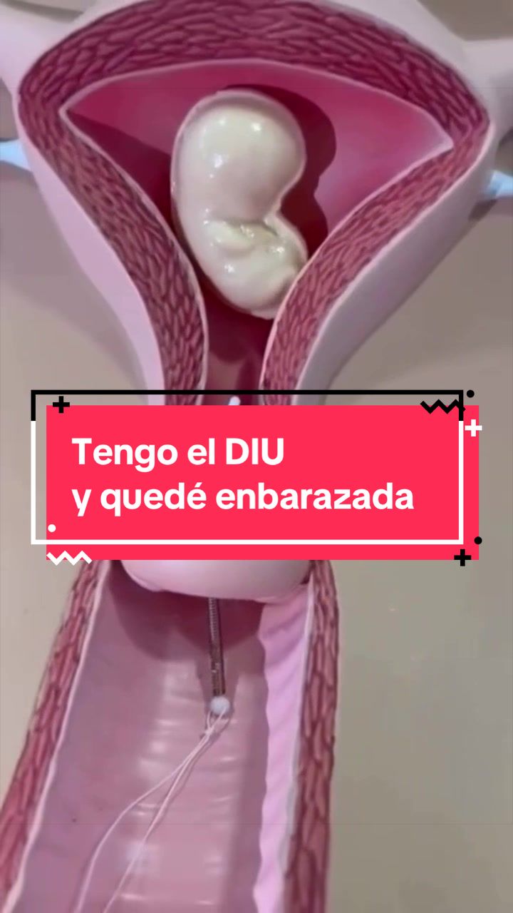 @Dra. Ver&oacute;nica Reyes Ginec&oacute;loga