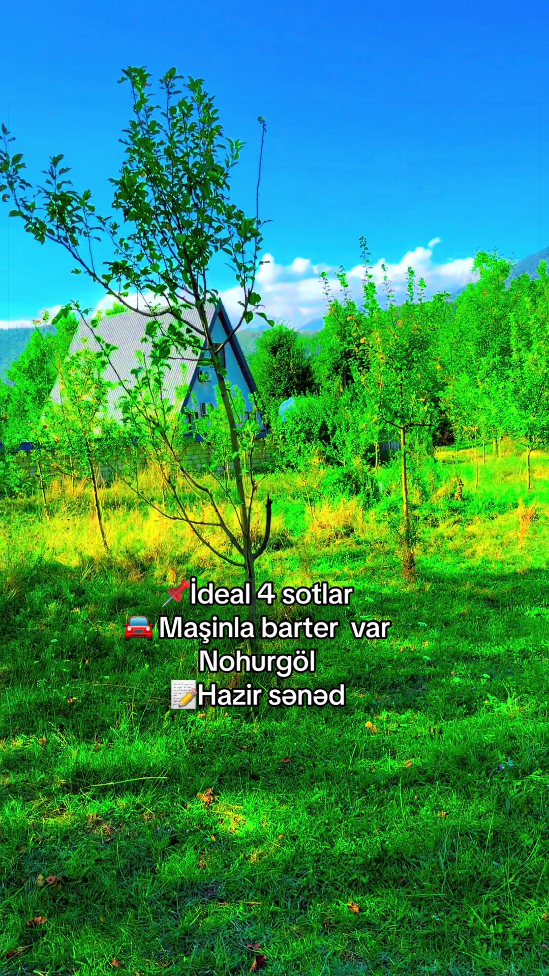 @Qəbələ Əmlak
