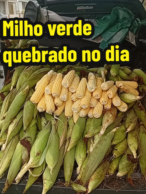 @Creusa Santos
