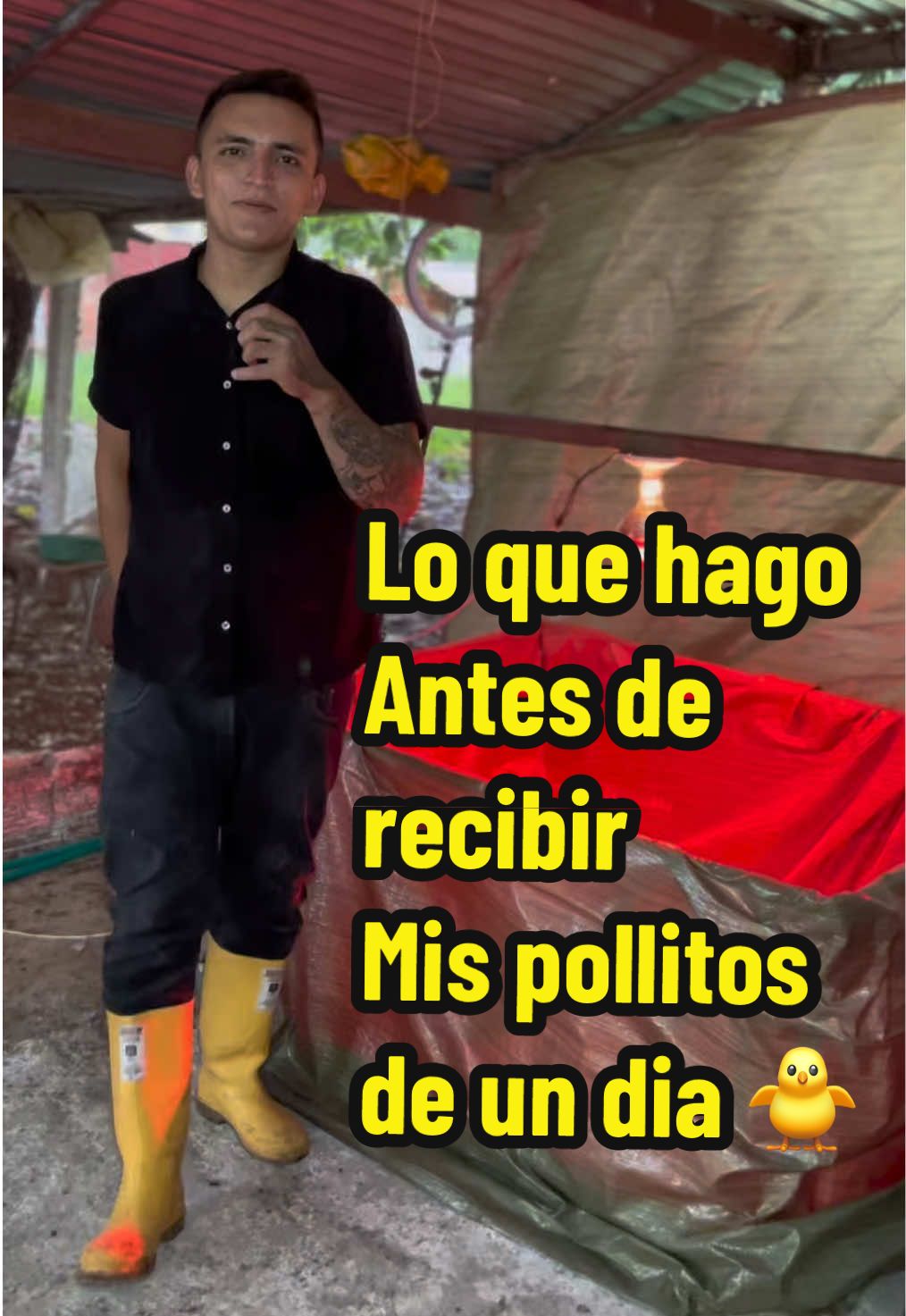 @elmagnatedelospollos