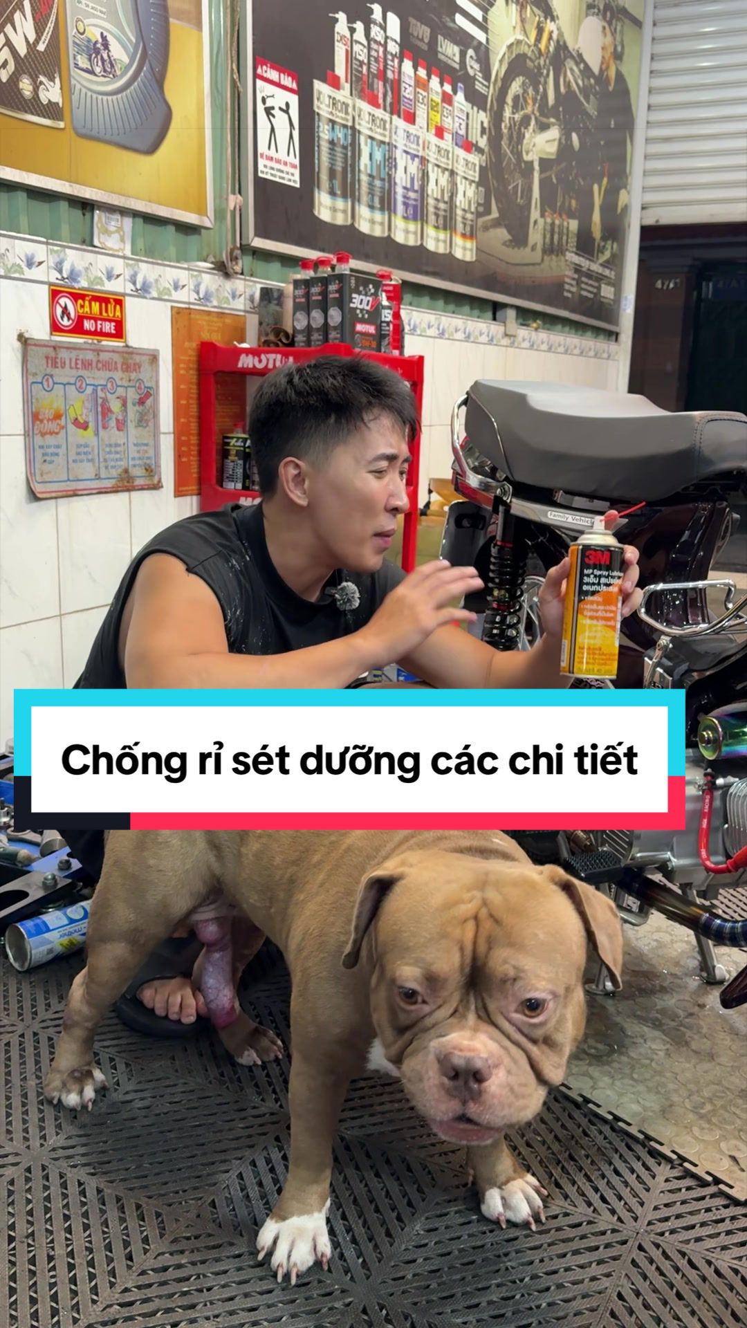 @Dương Nguyễn