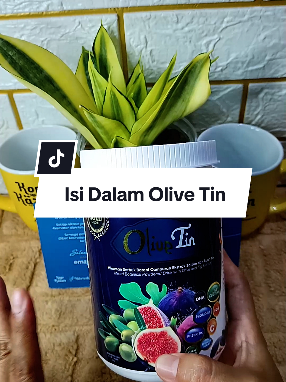 @Aini Lani