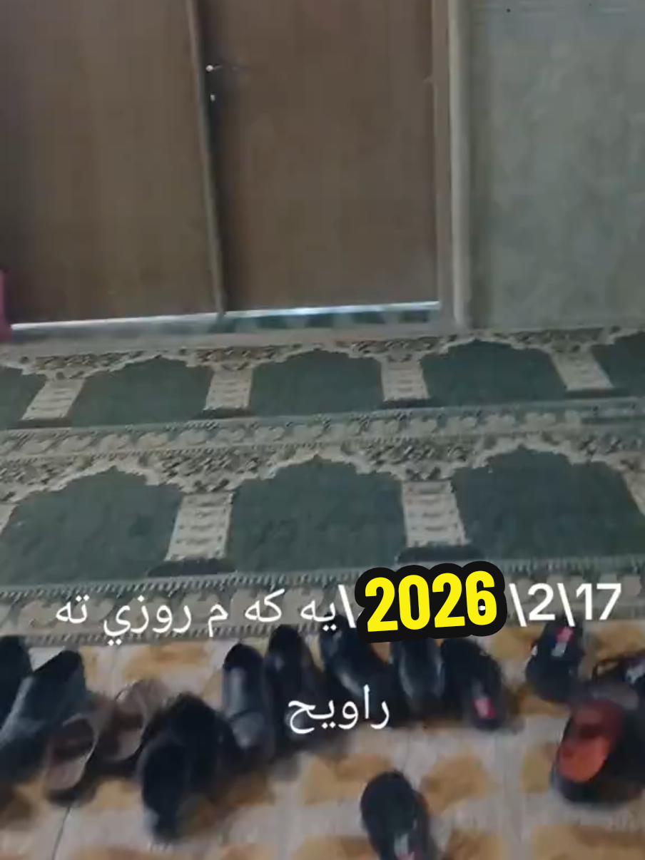 @شهاب محمود