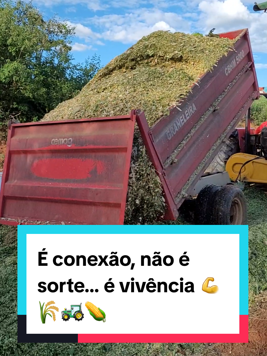 @Jardel Ferreira