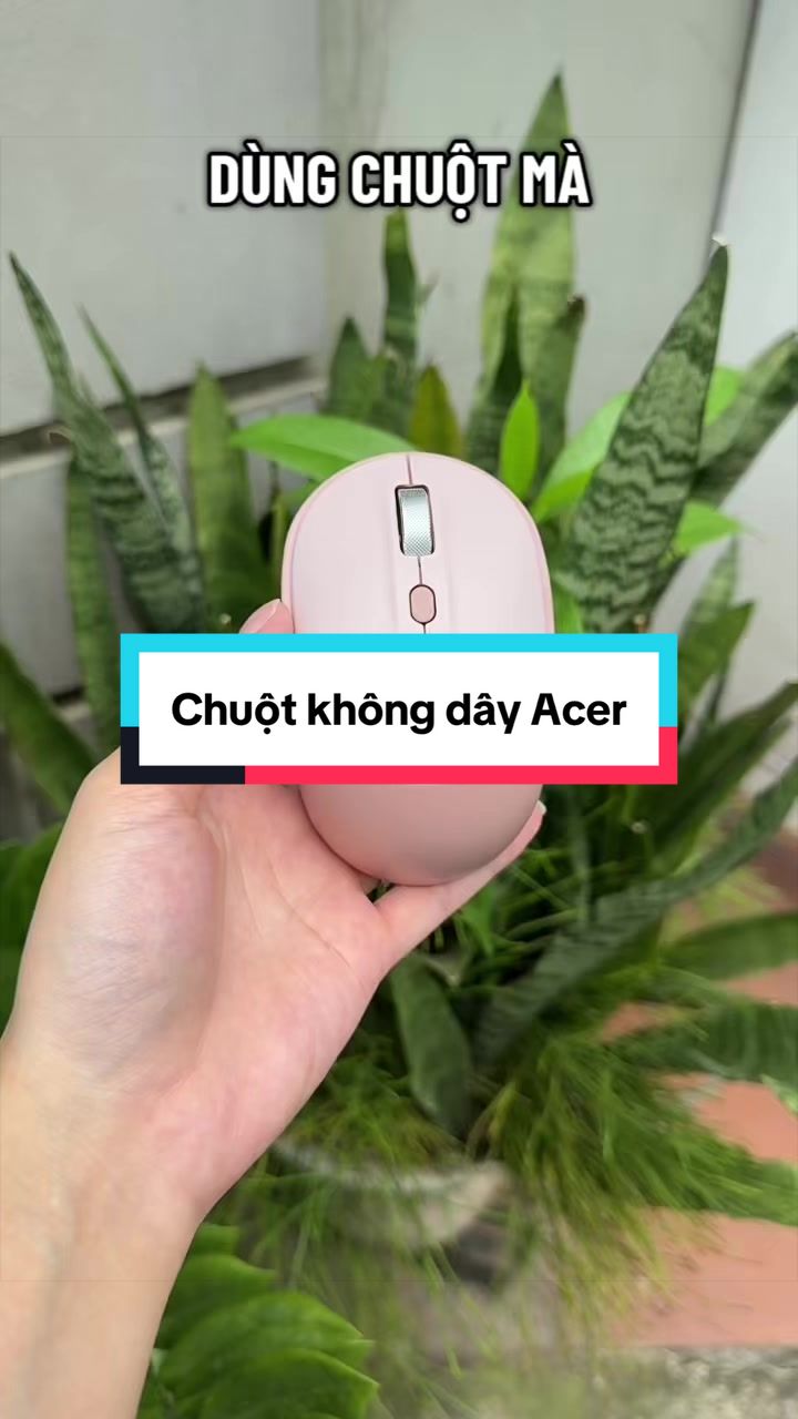 @Tuấn B&igrave;nh Thường