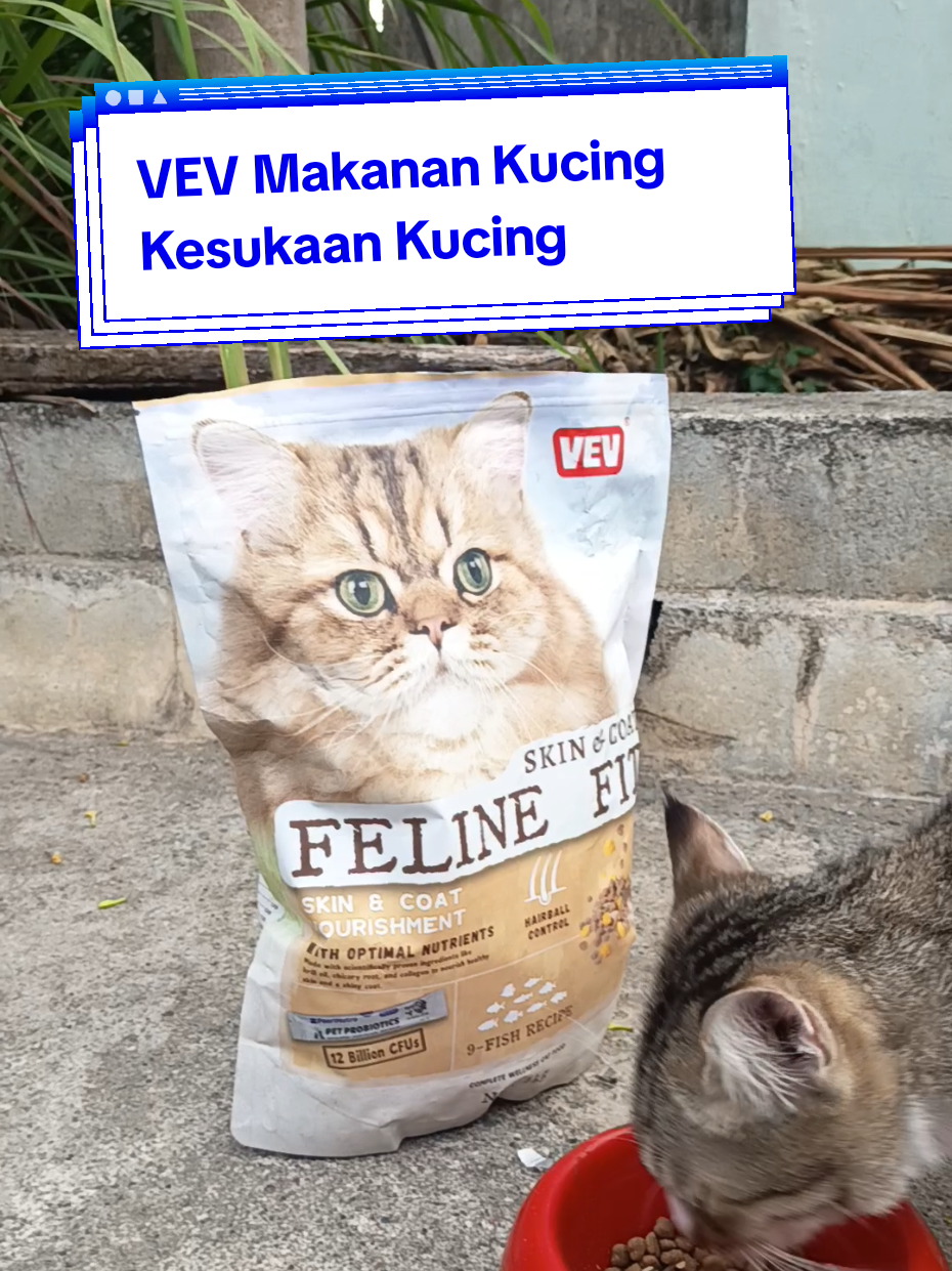 @Medayo Petcare