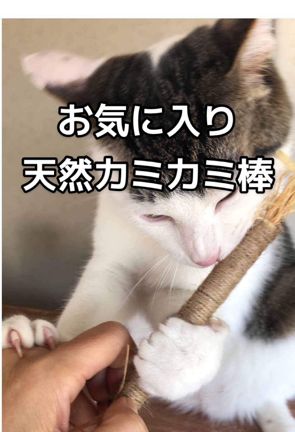 @ちょびみぃ兄弟❤︎🫧