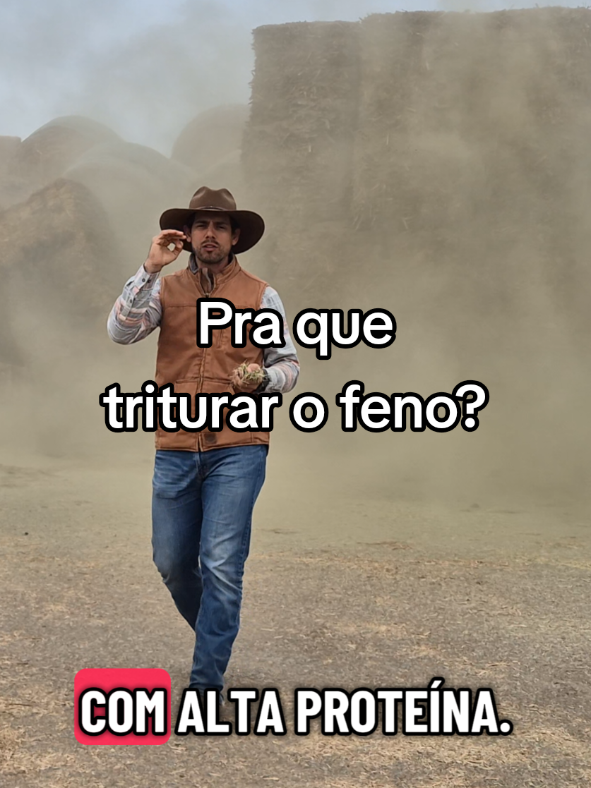 @Olavo Franco Bottino