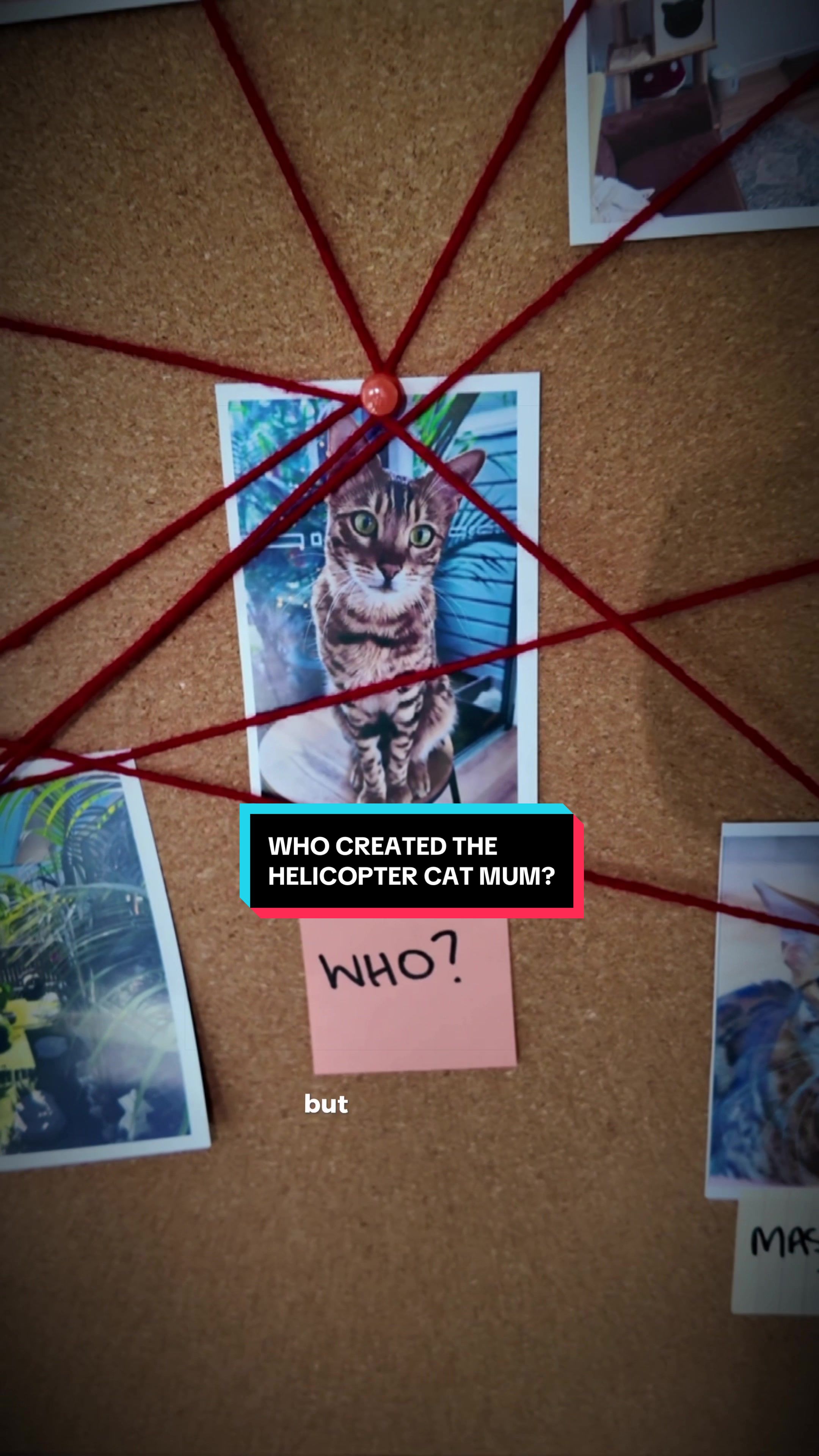 @Skeeter The Bengal