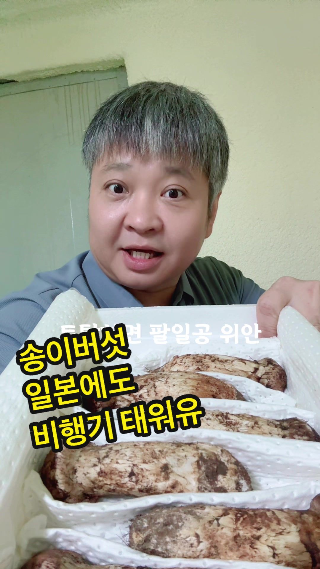 @원영-연변로찐