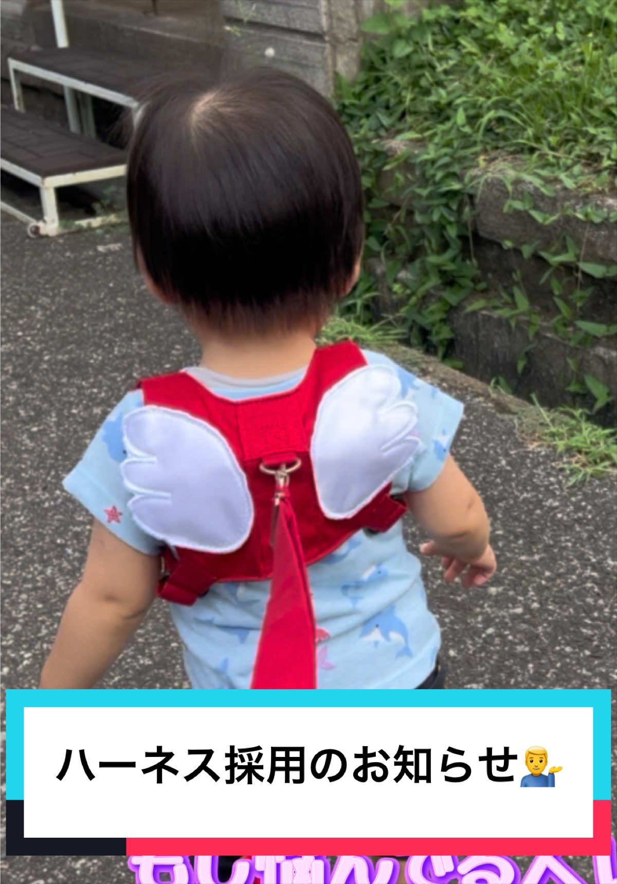 @とらままんち