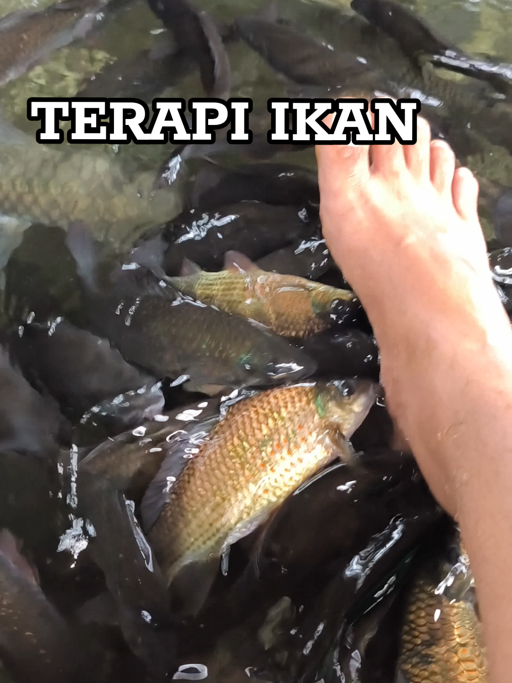 @boby kurniawan